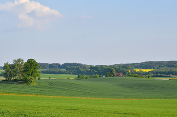 Fototapeta na wymiar Warmia. Wiosenny krajobraz. Polska