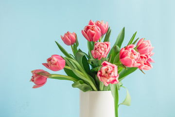 Bouquet of red tulip in vase on pastel millennial pink. Mothers day.