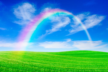 Obraz premium Idyllic view, rainbow over green field