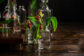 Red alstroemeria flowers in glass vases on dark background. Mothers day, birthday greeting card. Copy space.