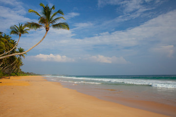 Untouched tropical beach in Sri Lanka
