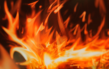 Fire flames on black background.