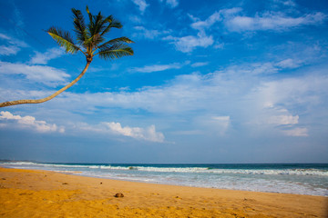 Untouched tropical beach in Sri Lanka