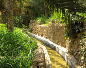Bewässerungskanal in der Oase, Oman