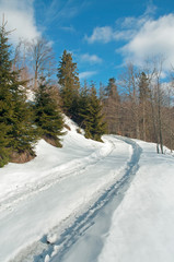 frosty day on the top of the mountain