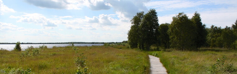 Fototapeta na wymiar Wooden walkway across Ewiges Meer bog in Friesland, Germany