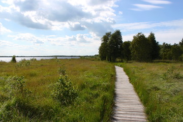 Wooden walkway across Ewiges Meer bog in Friesland, Germany