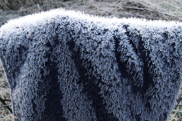 霜が降りたタオル - Frosted towel