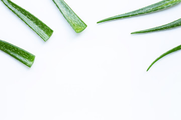 Aloe vera is a popular medicinal plant for health and beauty, on white background.