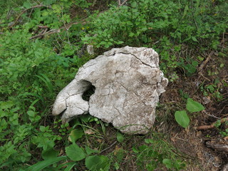 Obraz premium montenegro