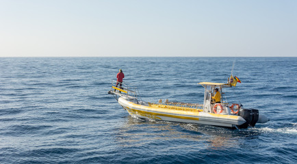 Marine biologist doing research and photographing whales.