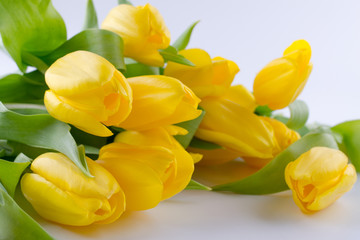 Bouquet of beautiful yellow tulip flowers on white background. Greeting card. Copy space.