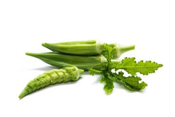 Okra (Abelmoschus esculentus (L.) Moench) isolated in white background.