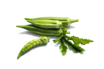 Okra (Abelmoschus esculentus (L.) Moench) isolated in white background.