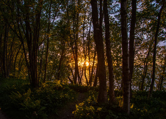 Obraz premium Cliff seacoast at sunset in the evening