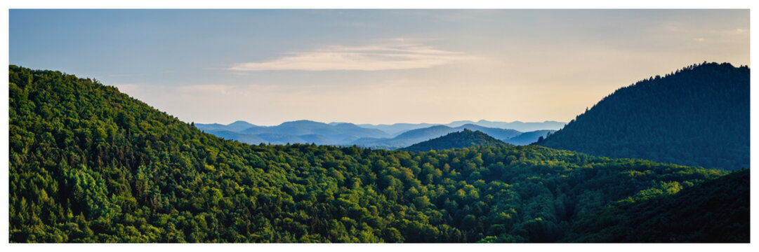 panorama of palatinate forest with a blue sky on a hot summer evening