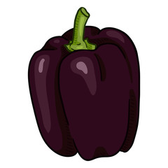 Vector Cartoon Black Paprika Pepper