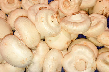 Champignon top view of mushroom in market for sale