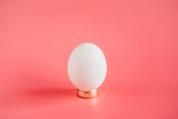 egg on a black background