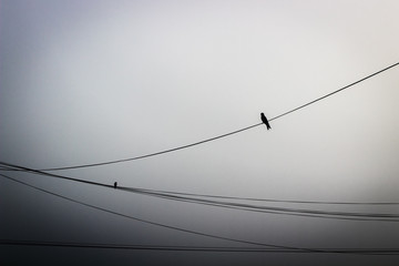 Powerlines
