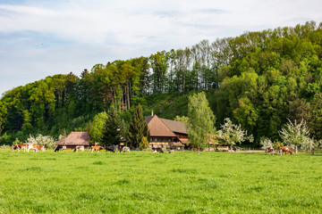bauernhof