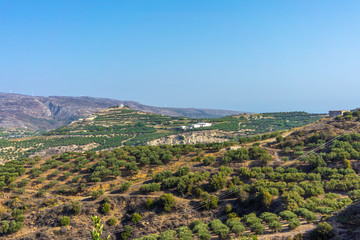 Fototapeta na wymiar ?retan Landscape with lots of olive trees over the rolling hills, Crete, Greece and churches on top of the hills