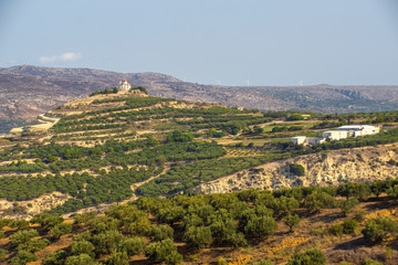 Fototapeta na wymiar Сretan Landscape with lots of olive trees over the rolling hills, Crete, Greece and churches on top of the hills