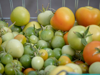 Autumnal fruits for sale
