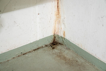 oxidized and rusted calcium and mold and mildew deposits from water damage in a concrete cellar room