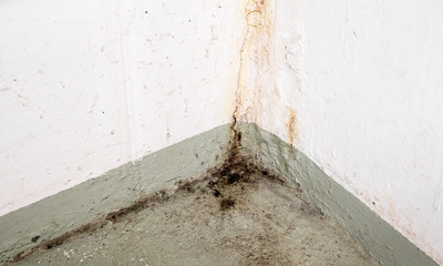 oxidized and rusted calcium and mold and mildew deposits from water damage in a concrete cellar room