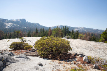 Fototapeta premium the mountains