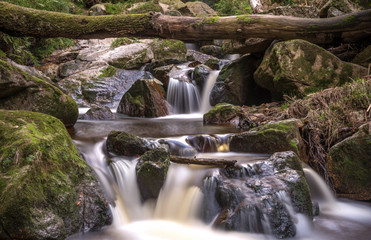 Fototapeta premium Ilsefälle im Harz