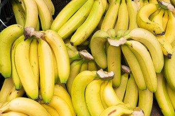 Fresh banana yellow background in the fruit market