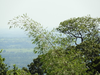 Ybyturuzu 1 