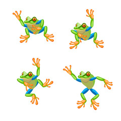 Tree frog Cartoon set.   illustration.
