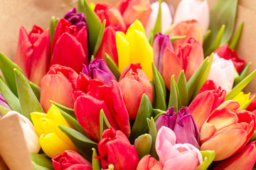 beautiful bouquet of colorful tulips