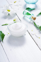 spa setting with cosmetic cream, gel, bath salt and fern leaves on white wooden table background
