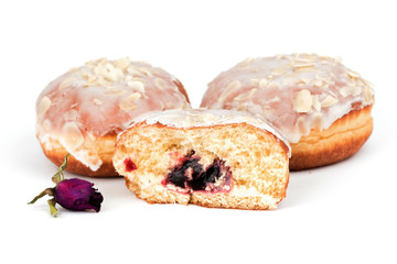 background,baked,bakery,berliner,breakfast,brown,cake,carnival,closeup,delicious,dessert,donut,donuts,dough,doughnut,doughnuts,european,fat,filled,food,fresh,fried,german,hanukkah,isolated,jam,jelly,p