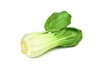 Pak Choi cabbage (Bok choy - Chinese cabbage)