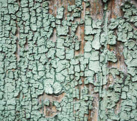 Remnants of old paint on the doors