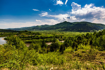 Landscape view of the mountain river with green vegetation trees bushes and grass and blue sky