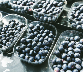  blueberry ready for sale at marketplace