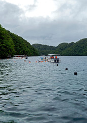 Fototapeta na wymiar Asian Tourists snorkeling in Palau Lagoon
