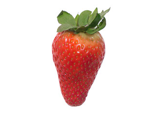 One fresh red strawberry isolated on white