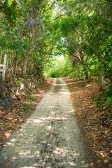 Countryside road near Lagoa Azul on Itamaraca Island - Pernambuco, Brazil