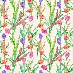 nice seamless texture with lovely tulips. watercolor painting