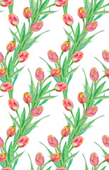 colorful seamless texture with lovely tulips. watercolor painting