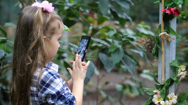 A little girl photographs a butterfly on the phone. 4K Slow Mo