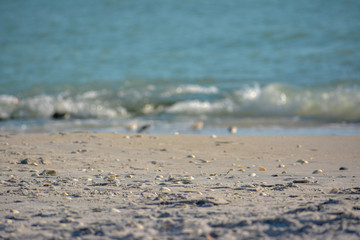 Florida Gulf Coast beach in Stump Pass Beach State Park.