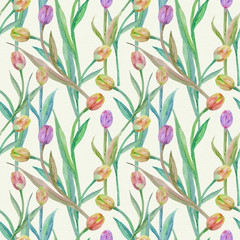 graceful seamless texture with tulips. watercolor painting